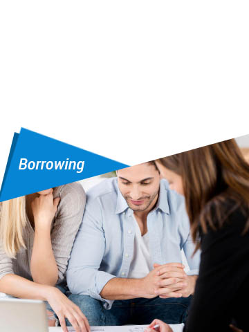 services-borrowing5